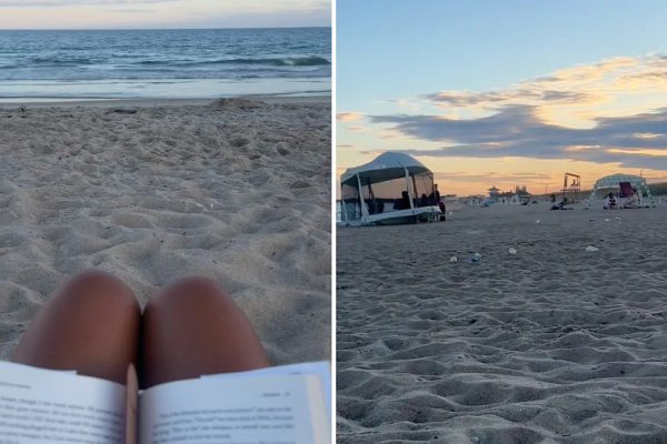 ‘Makes me want to scream from the rooftops’