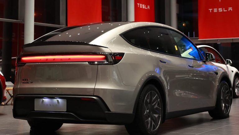 ‘[People] swarmed into a Tesla store’