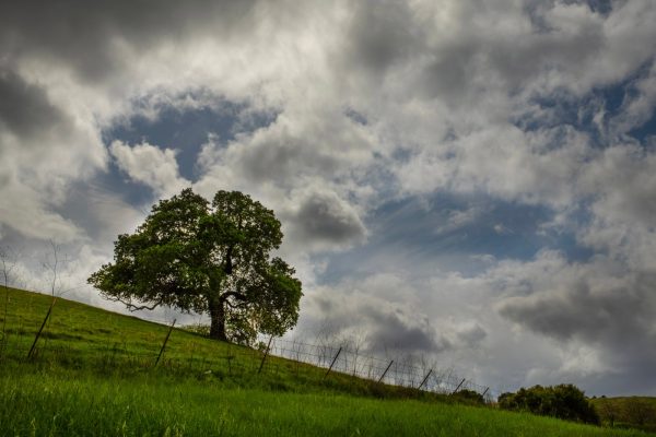 Rain likely as winter pattern arrives