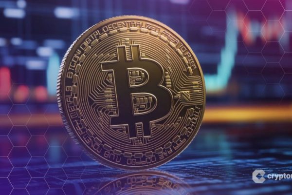 Businesses Buy 1,755 Bitcoin Daily, Adding $1.3 Trillion in 20 Months – BTC Above $125K Next?