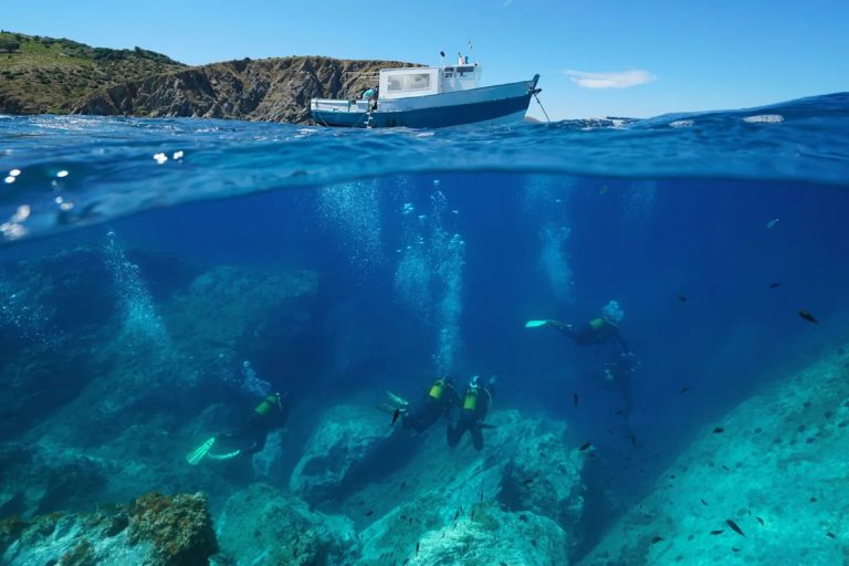 ‘Their population is increasing year on year’