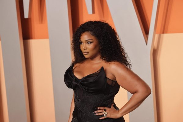 Lizzo Flaunts Slimmer Figure In Sheer Ensemble At Fashion Show