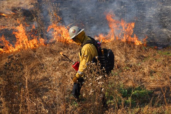 Santa Clara County may form its first prescribed burn association pending state grant – The Mercury News